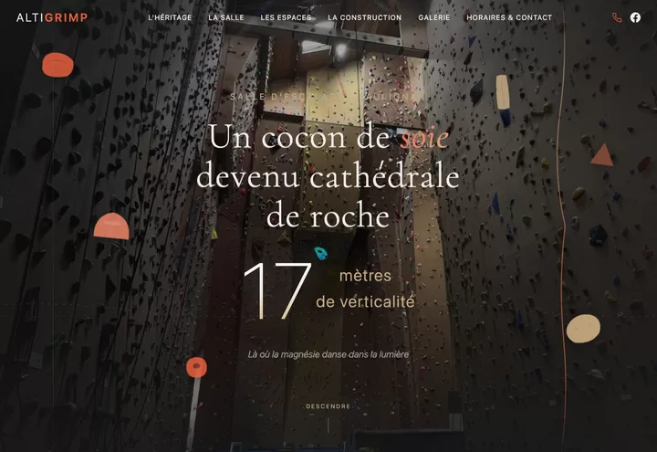 Aperçu de la page d'accueil du site Altigrimp