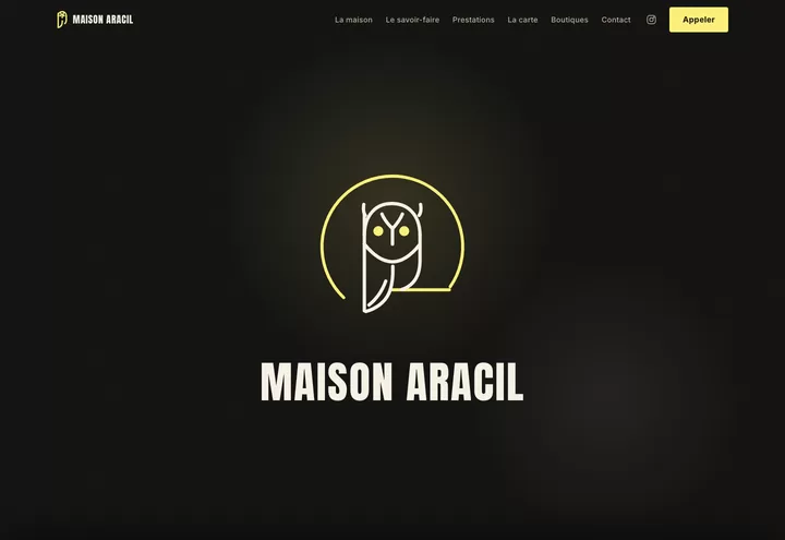 Aperçu de la page d'accueil du site Maison Aracil
