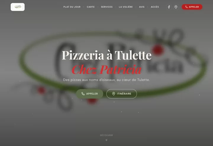 Aperçu de la page d'accueil du site Chez Patricia