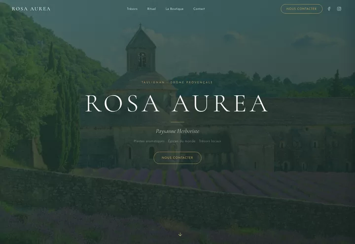 Aperçu de la page d'accueil du site Rosa Aurea